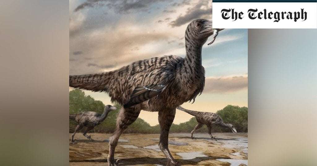 image for Giant velociraptor bigger than Jurassic Park imaginings discovered