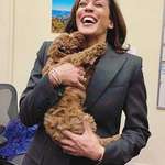 image for Vice President of the United States, Kamala Harris, holding a puppy