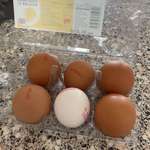 image for The internet has ruined everything - even my lunch