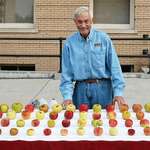 image for Tom Brown, a retired engineer, he has saved close to 1000 different types of apples from extinction.
