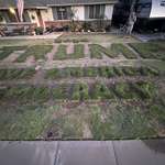 image for a lawn in my neighborhood