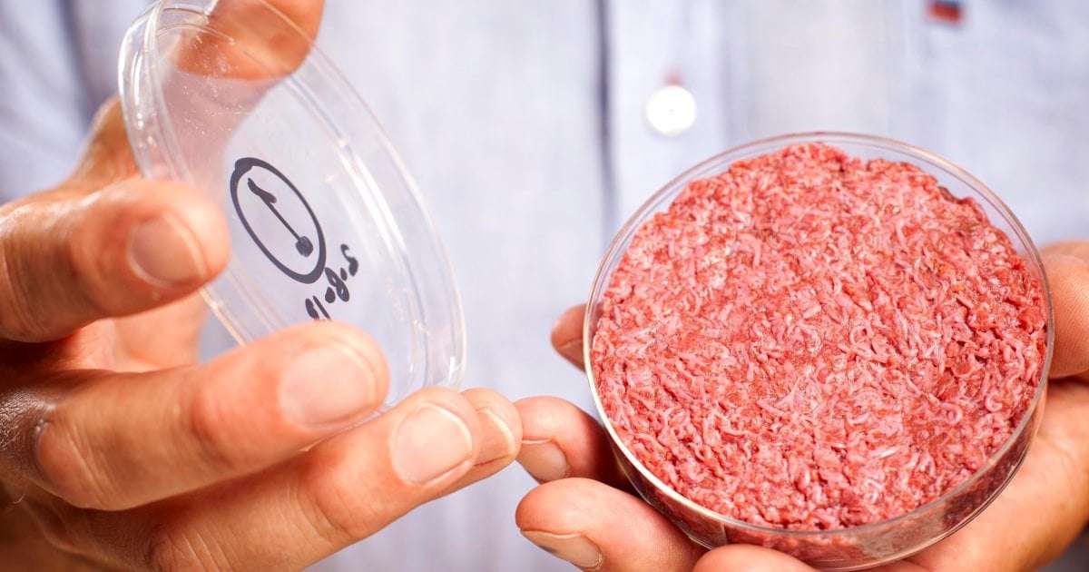 image for Florida bans lab-grown meat, adding to similar efforts in three other states