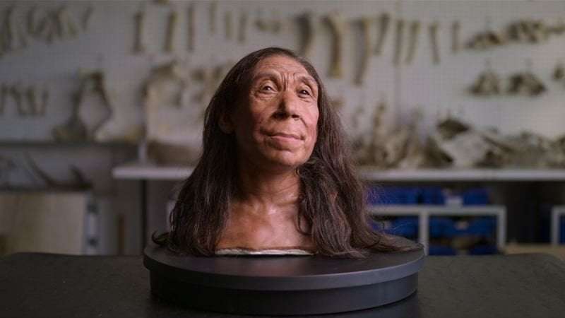 image for Reconstruction reveals face of Neanderthal specimen Shanidar Z