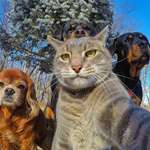 image for Selfie with the crew