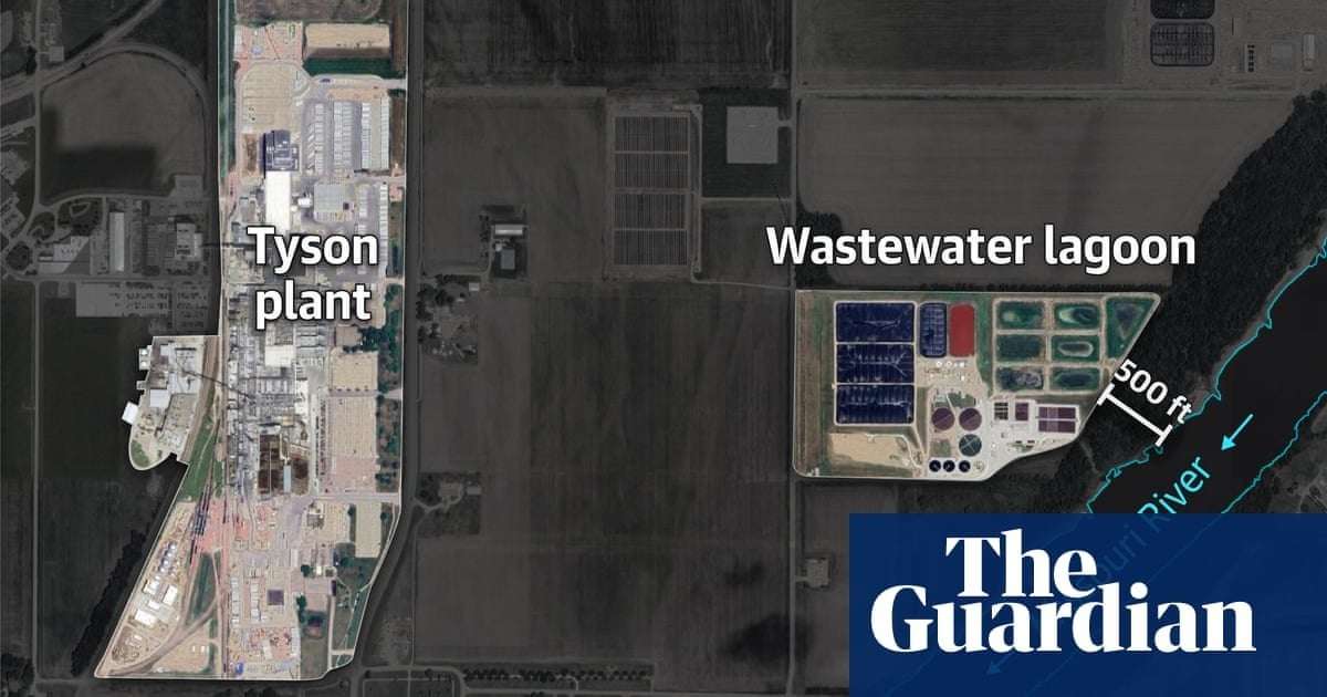image for Revealed: Tyson Foods dumps millions of pounds of toxic pollutants into US rivers and lakes