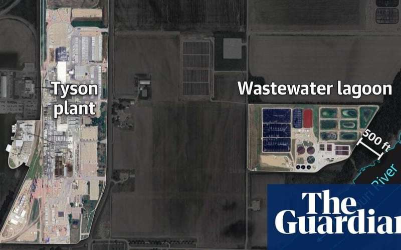image for Revealed: Tyson Foods dumps millions of pounds of toxic pollutants into US rivers and lakes