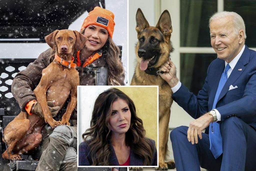 image for Kristi Noem defends apparent threat to kill Biden’s dog Commander: ‘Say hello to Cricket’