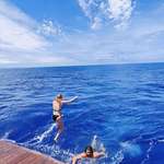 image for Went for a swim halfway across the Atlantic today