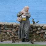 image for A lady is giving food to the squirrels at Lovers Point Park in California