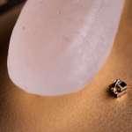 image for The smallest computer compared to a grain of rice