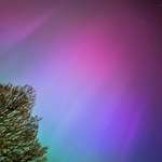 image for We have polar lights right now over all Germany