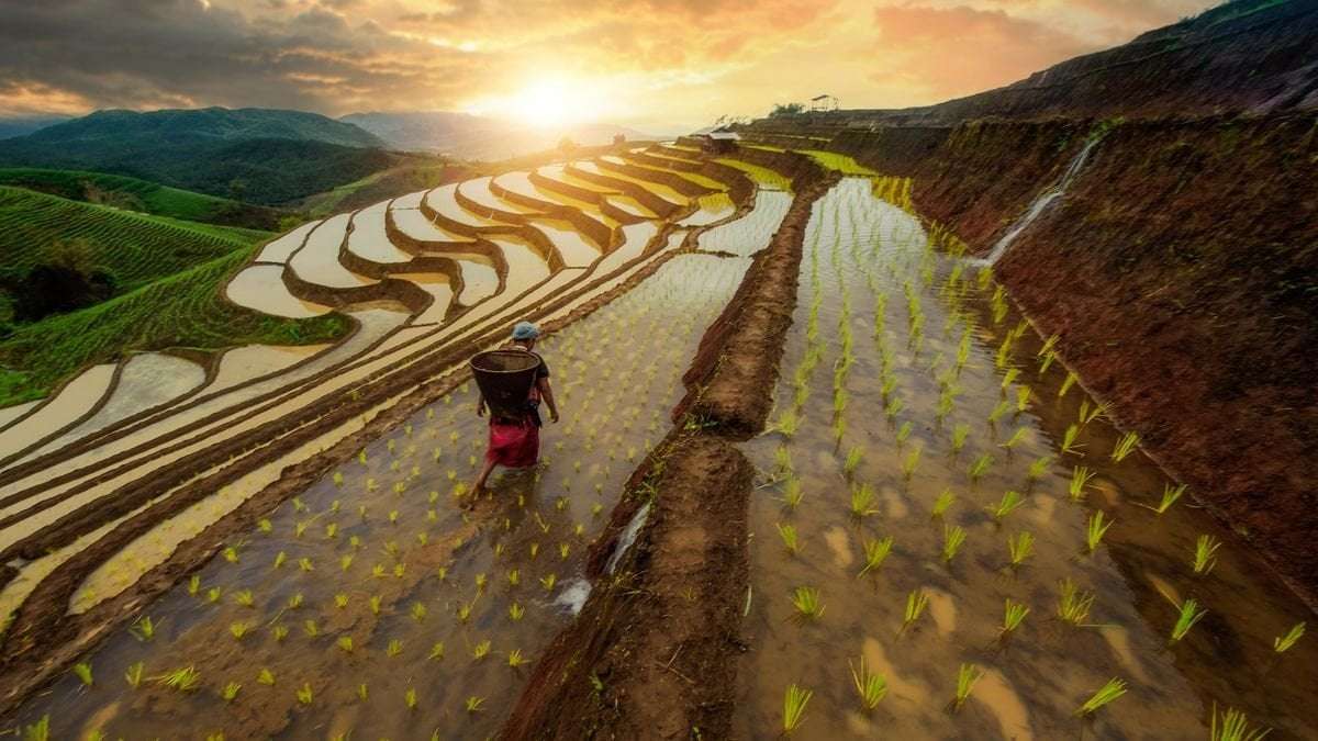 image for 30,000 years of history reveals that hard times boost human societies' resilience