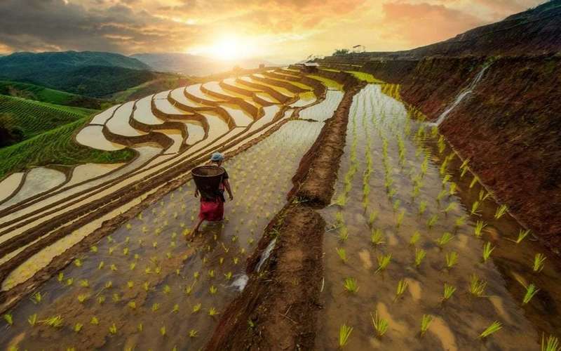 image for 30,000 years of history reveals that hard times boost human societies' resilience