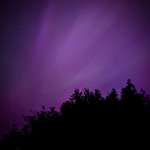 image for Can't believe I saw this from my backyard