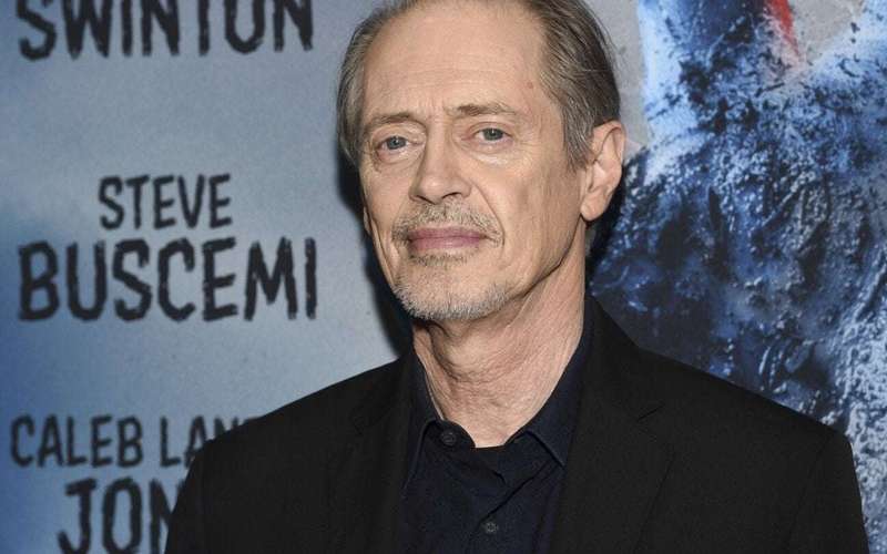 image for Actor Steve Buscemi is OK after being punched in the face in New York City
