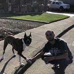 image for A few years ago I became friends with a dog that is trained not to leave his property line.