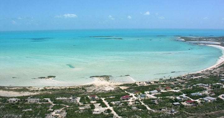 image for 5th American arrested in Turks and Caicos for possession of ammo - National