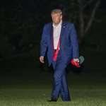 image for A defeated man, 2020