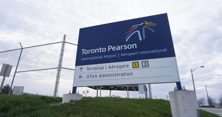 image for Around $500,000 worth of baby eels seized at Toronto Pearson Airport