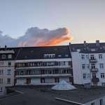 image for That looks like a crocodile outside my window right now