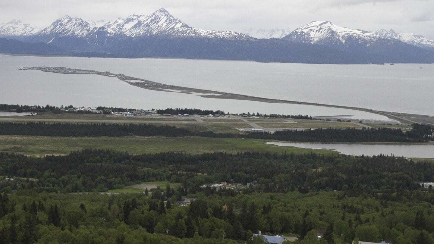 image for Moose kills Alaska man attempting to take photos of her newborn calves