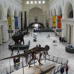 image for Field Museum, Chicago