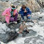image for These are the remains of Otzi the iceman. He lived before the great pyramid of Giza was built.