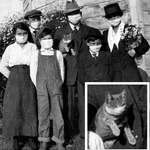 image for Mask mandates during WWI in 1918 were taken so seriously that they even made tiny cat masks.