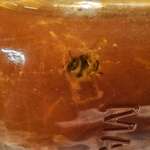 image for Pic of honey my wife bought at a growers market.