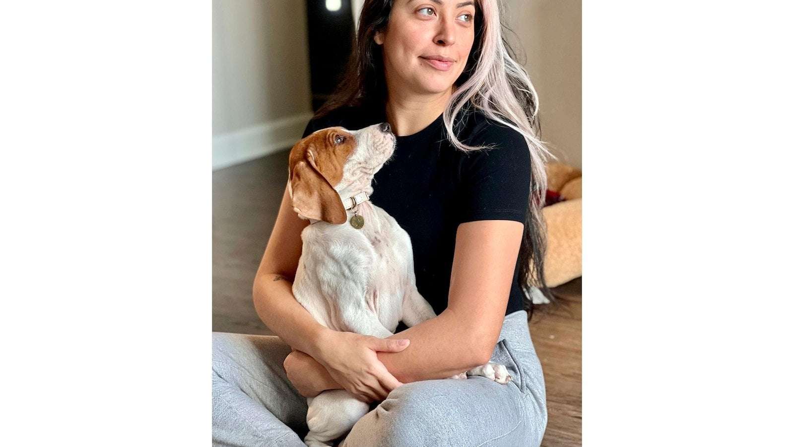 image for A woman took her dog to be euthanized. A year later, the dog is up for adoption.