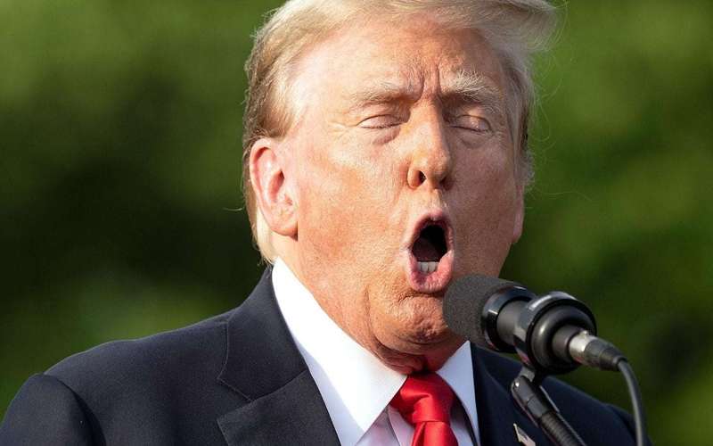 image for The Boos Have It. Trump Ruled Ineligible for Libertarian Nomination