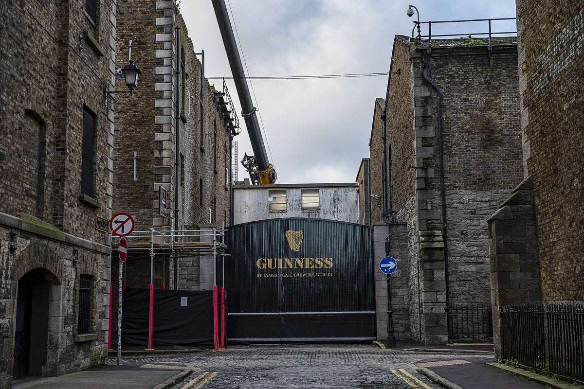 image for How the Guinness Brewery Invented the Most Important Statistical Method in Science