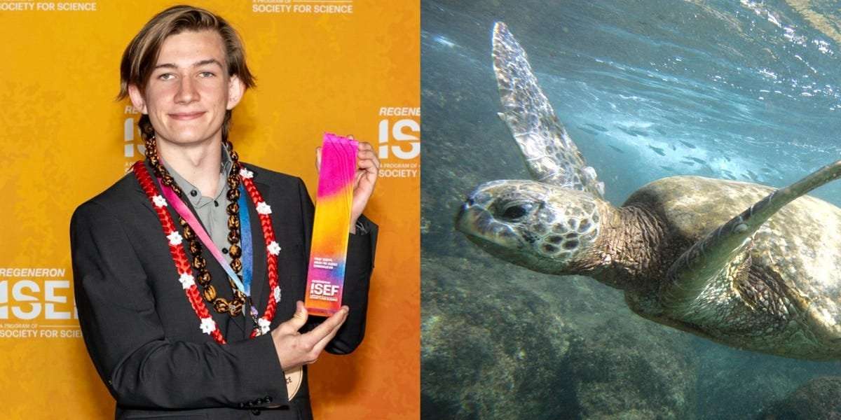 image for This high schooler won $10,000 because he saw a mysterious outbreak killing sea turtles in his Hawaii hometown and decided to do something about it