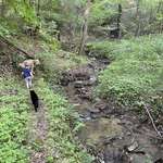image for 30 second walk from my house on my property. WV