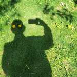 image for I took a picture of Dandelions in the shadow.