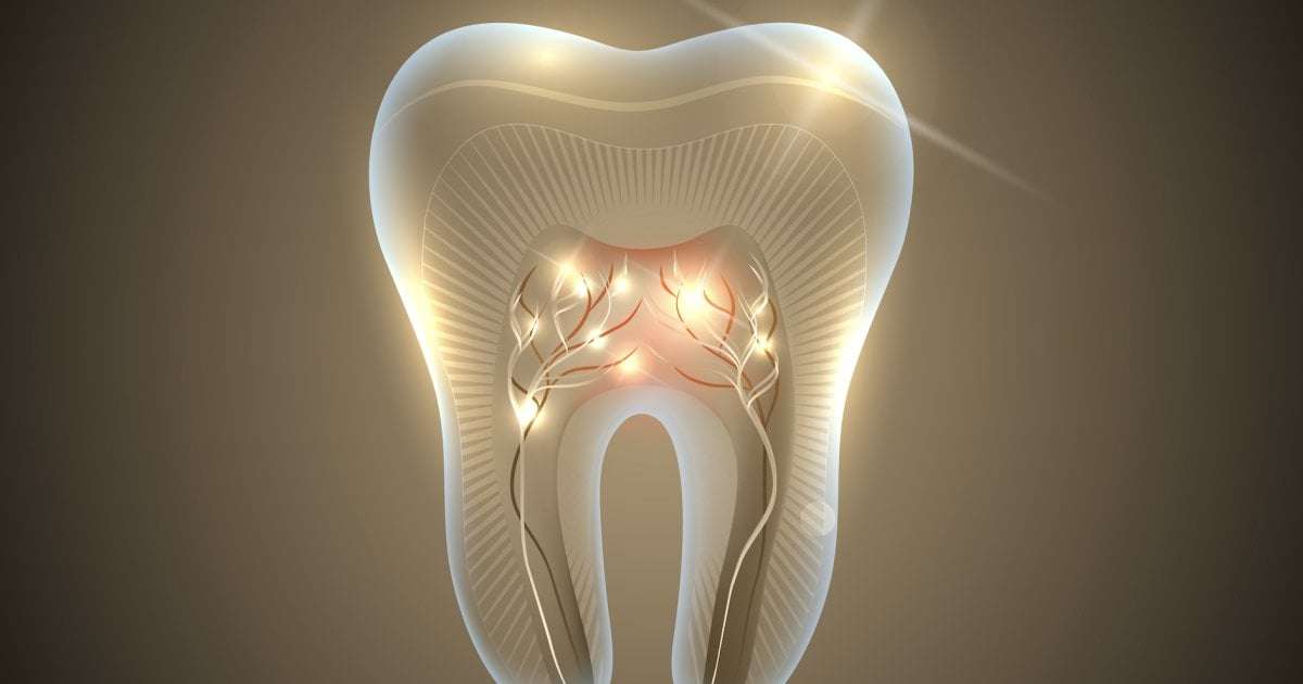 image for World-first tooth-regrowing drug will be given to humans in September
