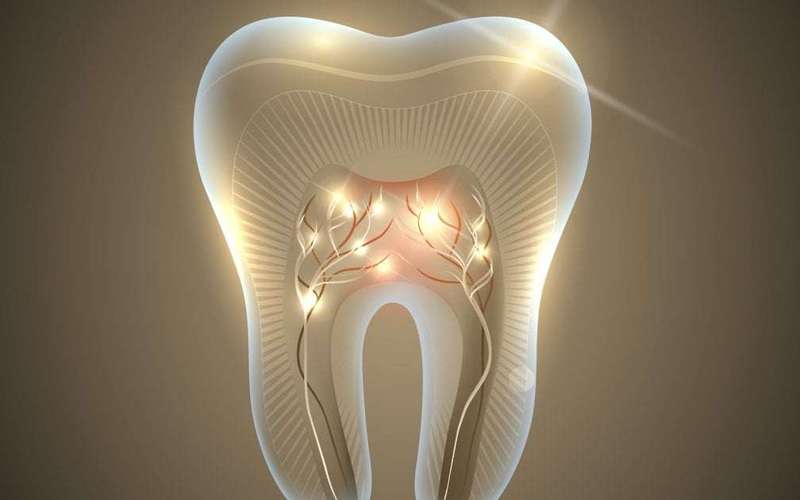 image for World-first tooth-regrowing drug will be given to humans in September