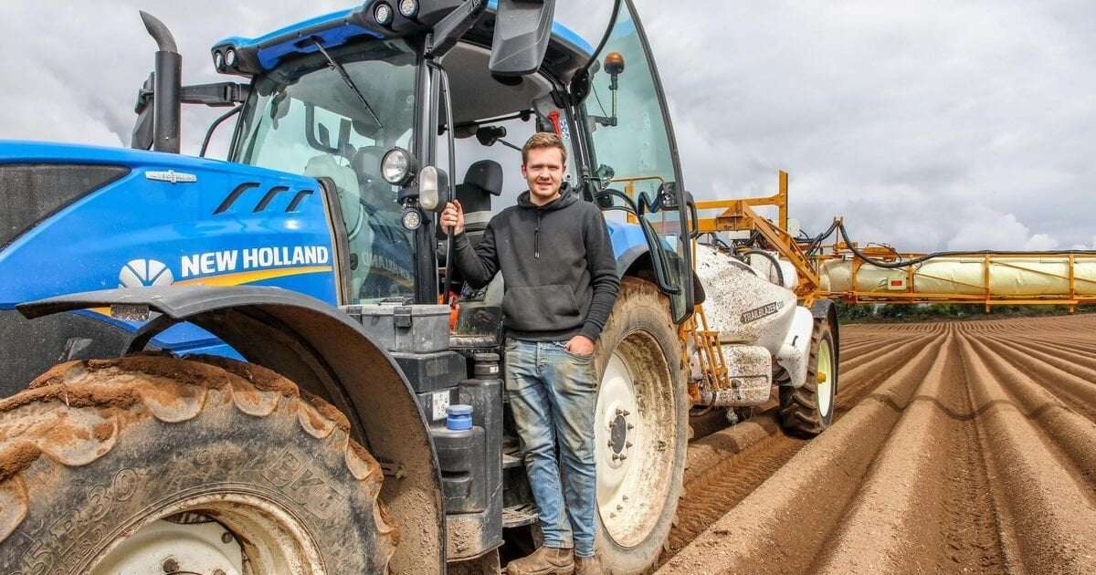 image for Fears of a potato shortage after a ‘nightmare’ 12 months for growers
