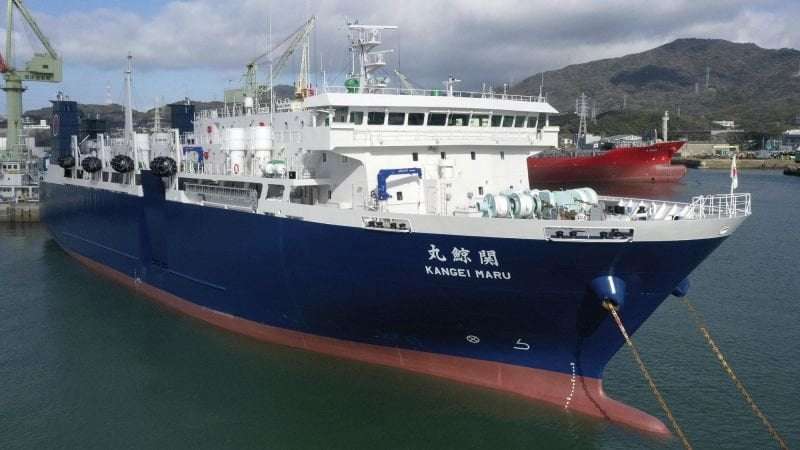image for Japan is determined to keep hunting whales. And now it has a brand new ‘mothership’ to do that
