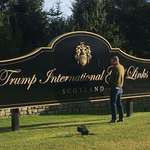 image for Man urinating on Trump's Scotland golf course sign, where he can no longer visit.
