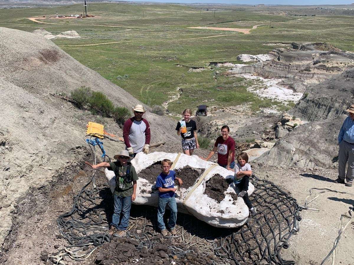 image for Three boys discovered teenage T. rex fossil in northern US: 'Incredible dinosaur discovery'
