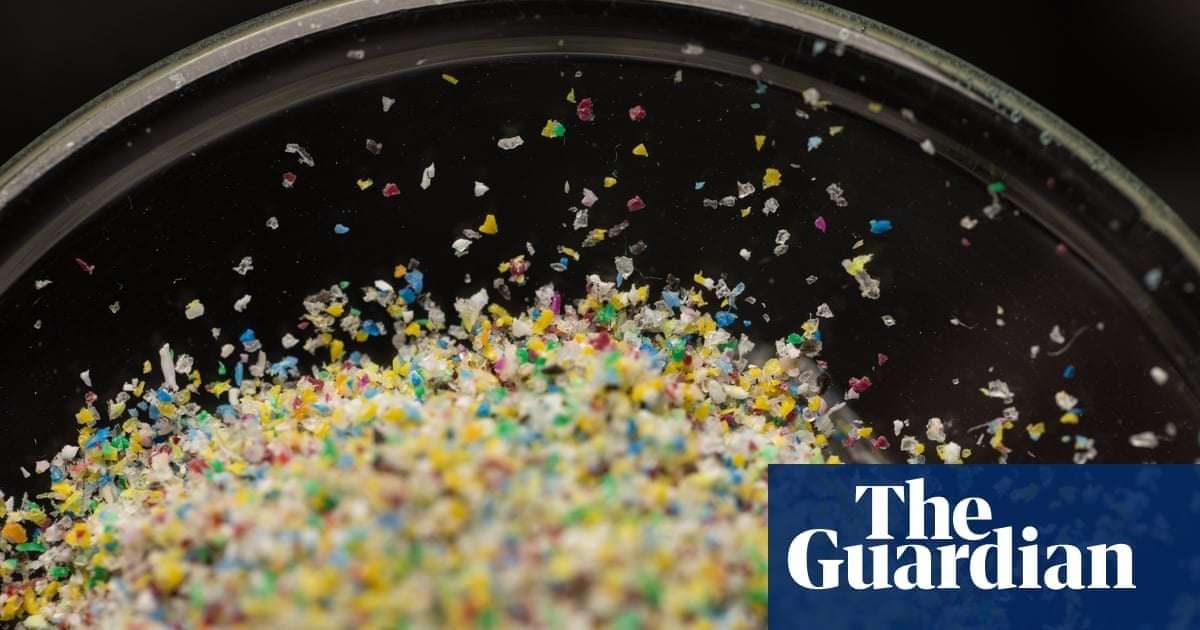 image for Microplastics found in every human semen sample tested in study