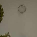 image for Weird smoke circle in downtown disney