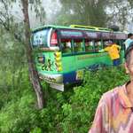 image for Guy smiles for a photo after a tree he planted years ago prevented a bus from falling.