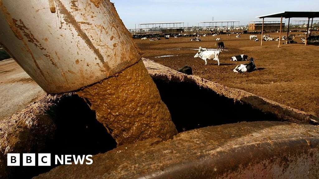 image for Two New York men die falling into a manure tanker