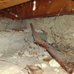 image for I found a gun under my house.