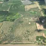 image for World’s largest corn maze outside of St. Cloud, Minnesota