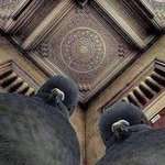 image for Photographer lying on his back shoots a picture of ceiling when he was approached by curious pigeons