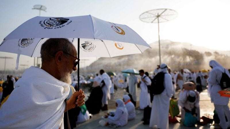 image for Hajj deaths: Nearly 500 confirmed fatalities as hundreds more reported dead