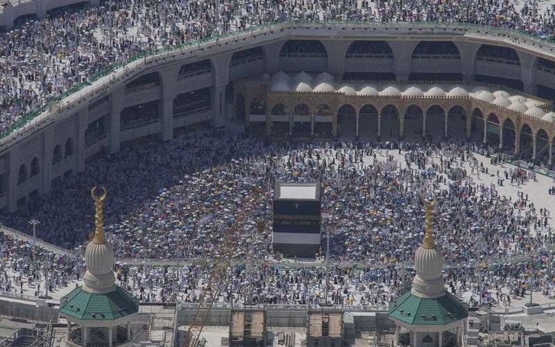 image for More than 1,300 people died during Hajj, many of them after walking in the scorching heat